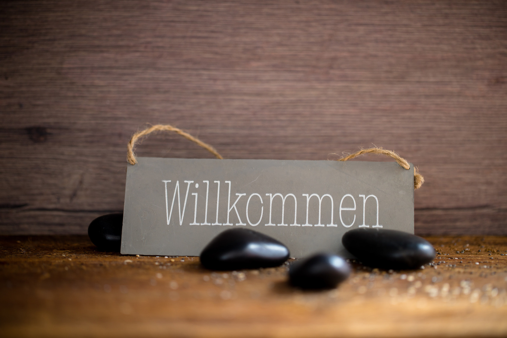 wellness & beauty